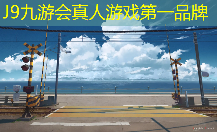 J9九游会真人游戏第一品牌：临沧自结纹型塑胶跑道
